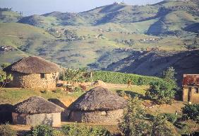 Zulu Village, near Eshowe (photo) 