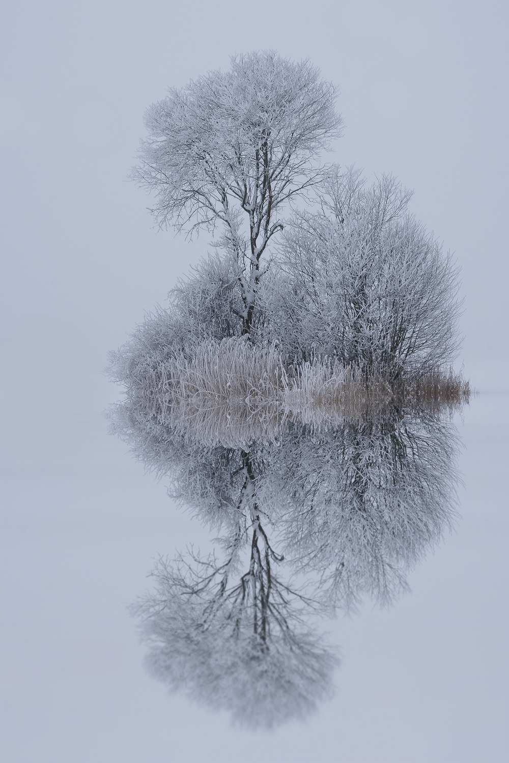 winter stillness von Norbert Maier