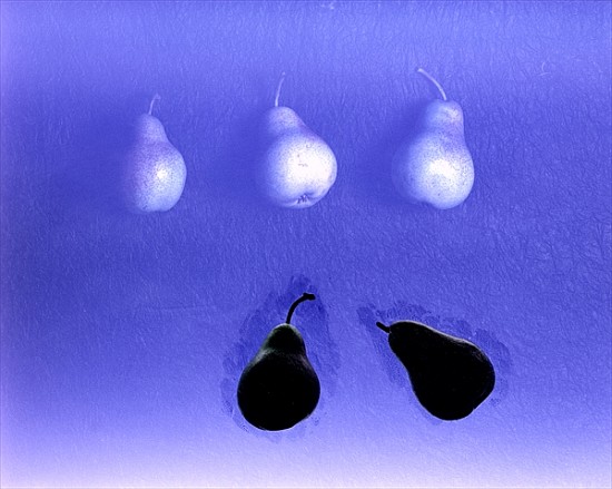 Blue Pears (after Wm. Scott) 2005 (colour photo)  von Norman  Hollands