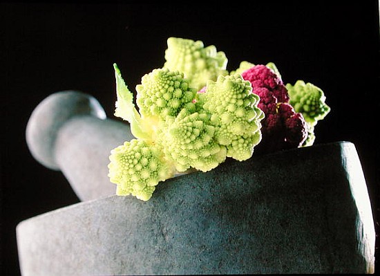 Romanescu in granite pestle & mortar, 2001 (colour photo)  von Norman  Hollands
