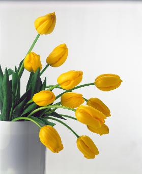Yellow Tulips II 1999