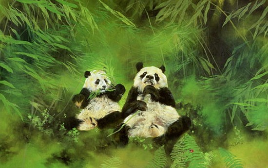 Pandas, 1998 (acrylic and pencil on canvas)  von Odile  Kidd