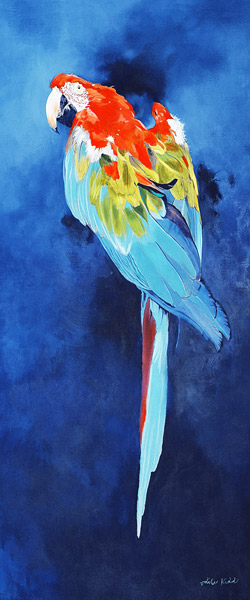 Red and Blue Macaw, 2002 (acrylic on linen)  von Odile  Kidd