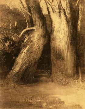 Two Trees c.1875