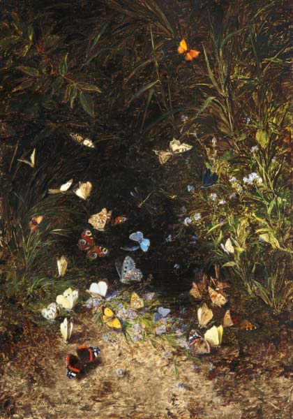Wiesengrund mit bunten Schmetterlingen von Olga Wisinger-Florian