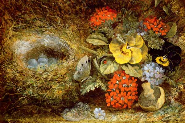 Flowers and Bird's Nest with Butterfly and Mushroom von Oliver Clare