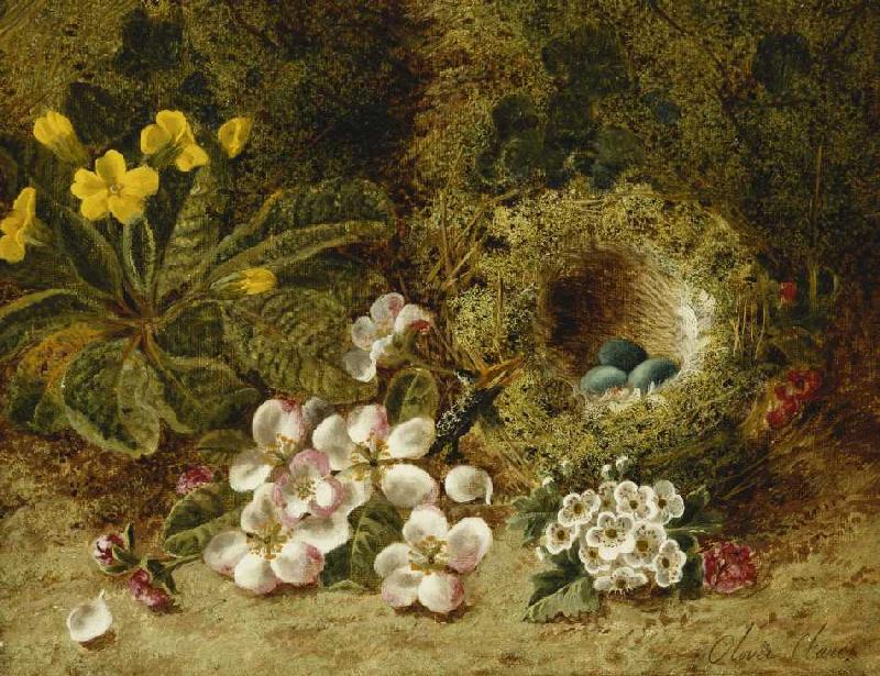 Apfelblüten, eine Primel und ein Vogelnest im Moos. von Oliver Clare