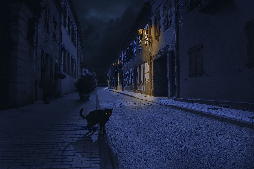 Le Chat Noir von Omar Brunt