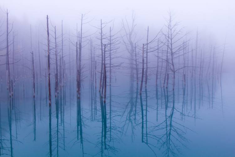 Misty Blue Pond von OSAMU ASAMI
