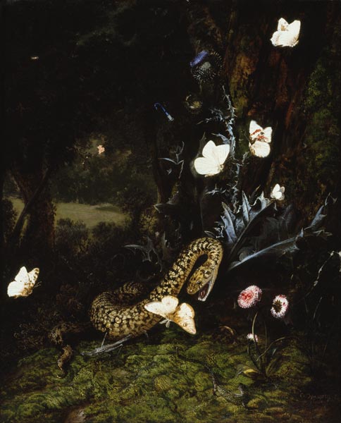 Grashüpfer, Schlange und Schmetterlinge bei einer Distel von Otto Marseus van Schrieck