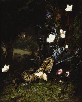 Grashüpfer, Schlange und Schmetterlinge bei einer Distel 1661
