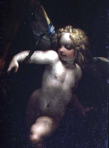 The Martyrdom of SS. Rufina and Seconda, known as the 'three-handed picture', detail of an angel, pa von P. Crespi