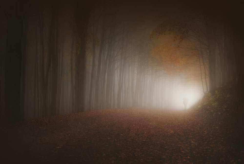 Last Light of Autumn von Paolo Lazzarotti