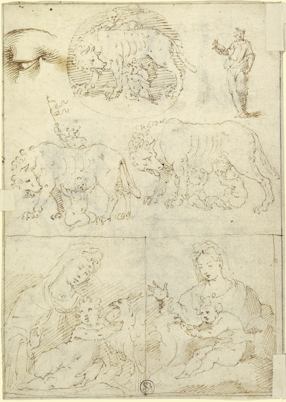 Studienblatt: Wölfin mit Romulus und Remus sowie Madonna von Parmigianino