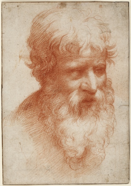 Bärtiger Männerkopf nach rechts von Parmigianino