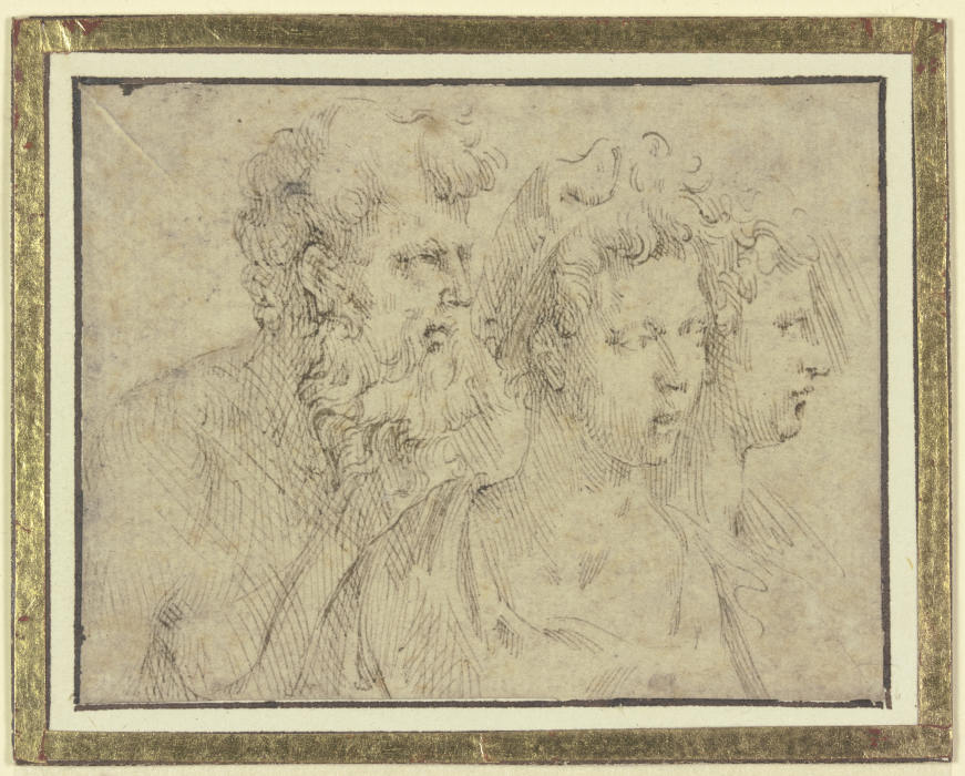 Köpfe eines bärtigen Mannes und zweier Frauen von Parmigianino