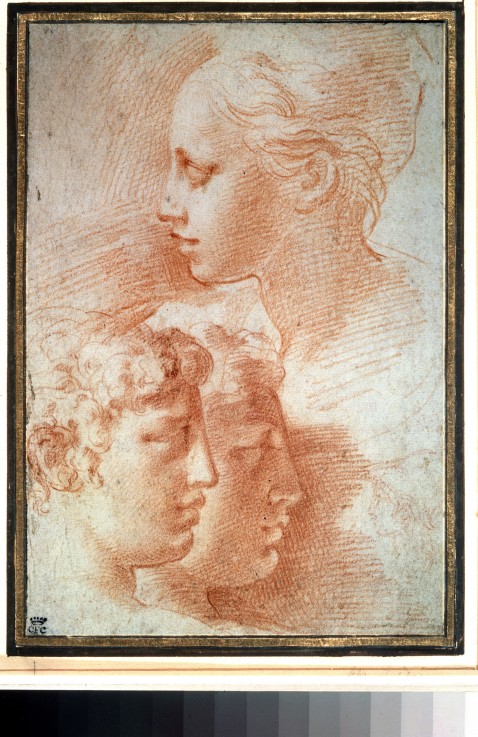 Studie der Köpfe von Parmigianino