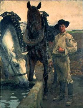 Horses at the Water Trough 1884