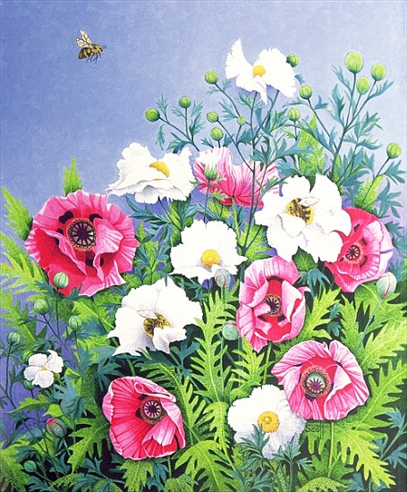 Honey Bee, Honey Bee (oil on canvas)  von Pat  Scott
