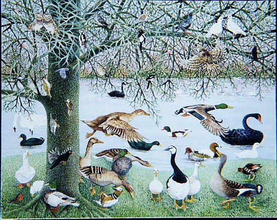 The Odd Duck (acrylic on canvas)  von Pat  Scott