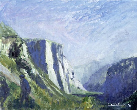 El Capitan, Yosemite National Park, 1993 (oil on canvas)  von Patricia  Espir