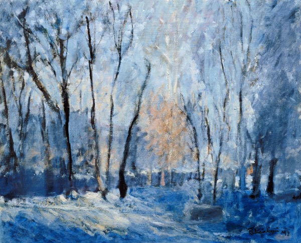 Snow in the Garden, 1993  von Patricia  Espir