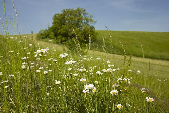 Nationalpark Unteres Odertal von Patrick Pleul