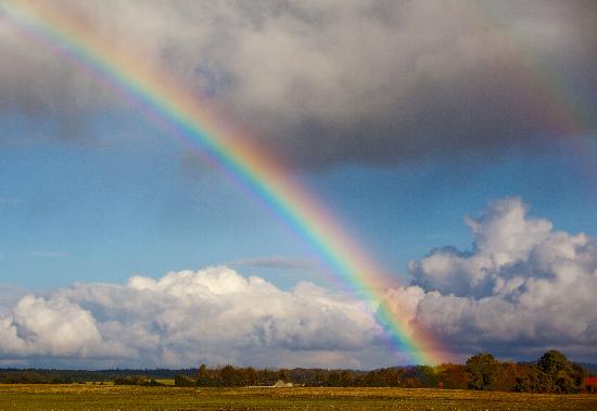 Regenbogen über Herbstlandschaft von Patrick Pleul