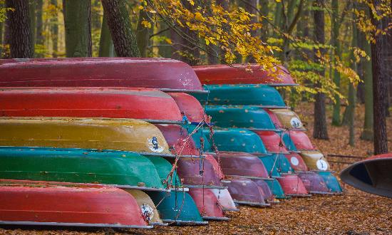 Ruderboote im Herbstwald am Stechlinsee von Patrick Pleul