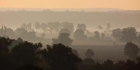 Morgennebel an der Oder