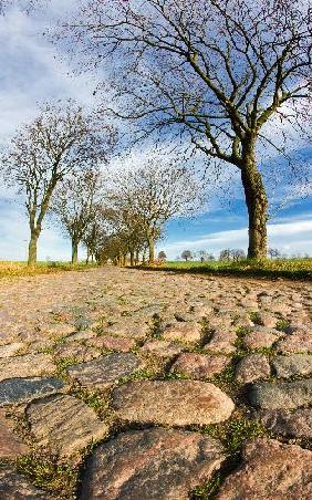 Pflastersteinstraße in der Uckermark