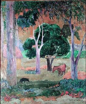 Dominican Landscape or, Landscape with a Pig and Horse 1903