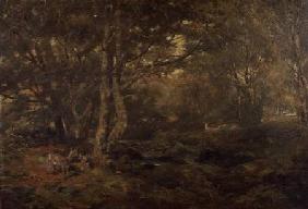 Through the Wood, Pont-y-Gytyn, North Wales 1880