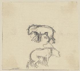 Der Hund des Mondes, laufend und mit hängendem Kopf, nach links sowie nach rechts