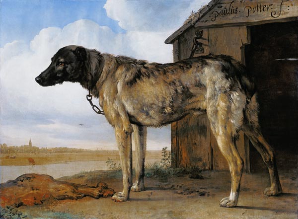 Dog on a Chain von Paulus Potter