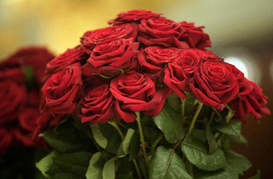 Rote Rosen von Peer Grimm
