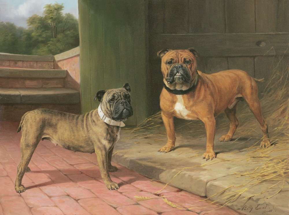 Eine Red Bulldog und Brindle Bulldog von einer Scheune von Percy Thomas Earl