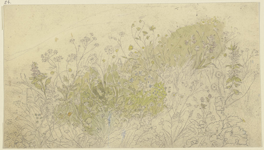 Blühende Feldblumen auf einer Wiese von Peter Becker