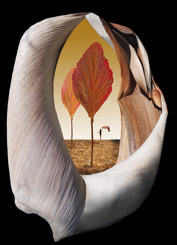 Herbstbäume von Peter Hammer