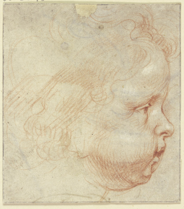 Kinderkopf im Profil nach rechts von Peter Paul Rubens
