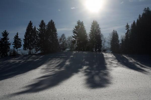 Bäume mit Schatten in Winterlandschaft von Peter Wienerroither