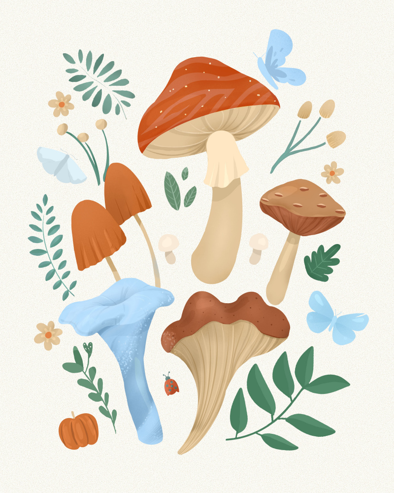 Pilze von Petra Lizde