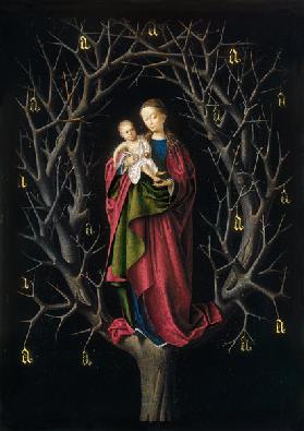 Die Madonna zum dürren Baum