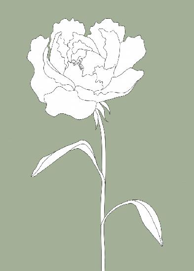 Rose in Grün