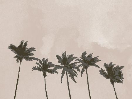 Windige Palmen