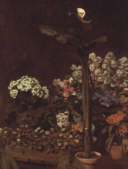 Arum and Hothouse Plants von Pierre-Auguste Renoir