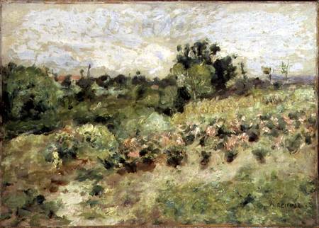 Field of Roses von Pierre-Auguste Renoir