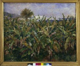 Renoir / Banana Plantation / 1881