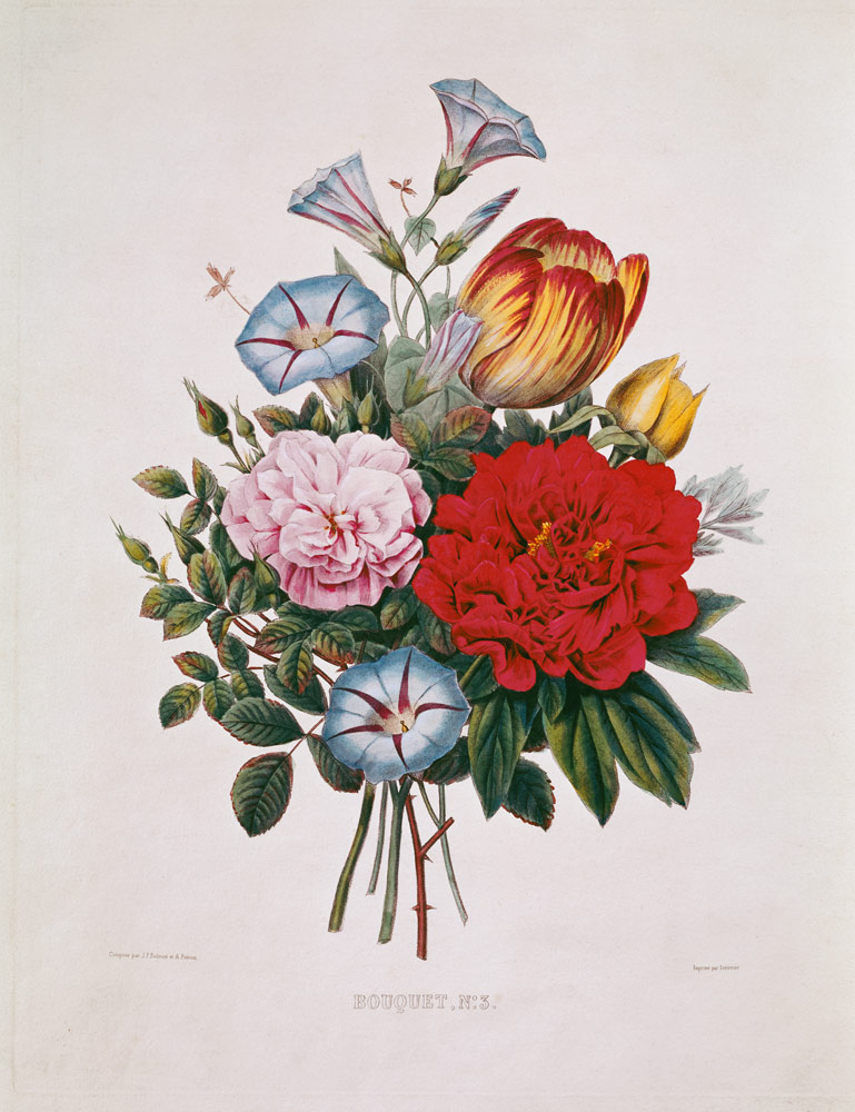 Bouquet N°3 mit Tulpe, Nelke, Winden und Pfingstrose von Pierre Joseph Redouté