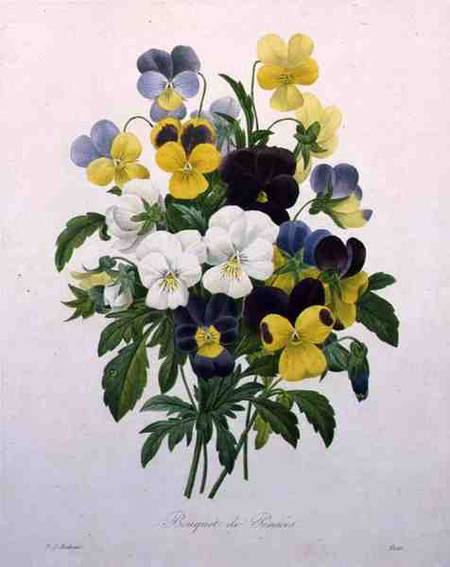 Bouquet of Pansies, engraved by Victor, from 'Choix des Plus Belles Fleurs' von Pierre Joseph Redouté